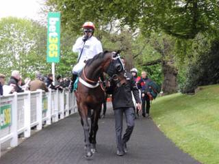 Race 4 c Sugar Baron.jpg