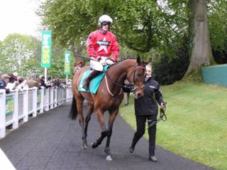 Race 4 l Blaklion.jpg