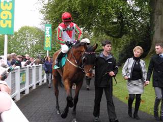 Race 4 m Minella Daddy.jpg