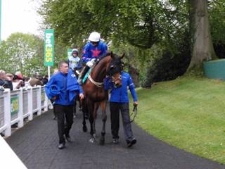 Race 4 o Royal Vacation.jpg