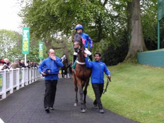 Race 4 q Theatre Guide.jpg