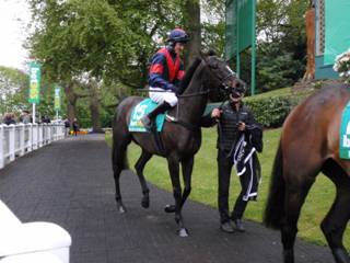 Race 4 t Relentless Dreamer.jpg