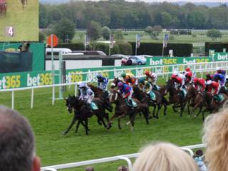 Race 4 u 2 circuits to go.jpg
