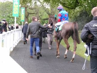 Race 4 z winner Step Back.jpg