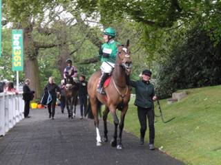 Race 5 d Wholestone.jpg