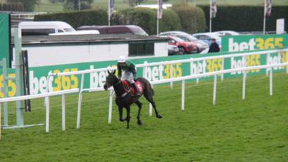 Race 5 h the winner.jpg