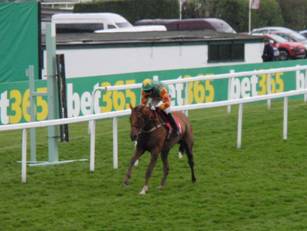 Race 5 i Runner-up.jpg