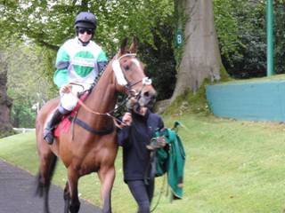 Race 6 g Stynes.jpg