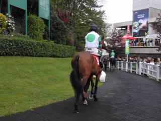 Race 6 i Stynes.jpg