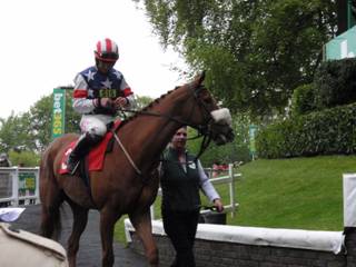 Race 6 j Solighoster.jpg