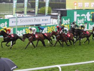 Race 6 n.jpg