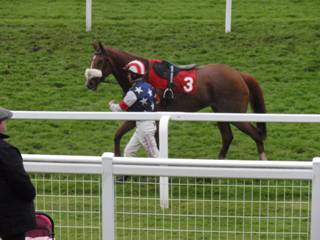 Race 6 o Solighoster.jpg