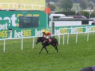 Race 6 q Silverhow.jpg