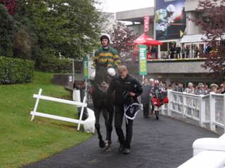 Race 6 t Geordie Des Champs.jpg
