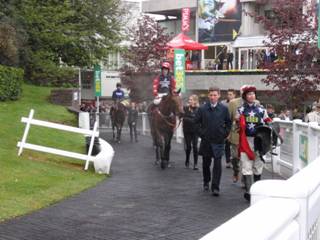 Race 6 u Deauville Dancer.jpg