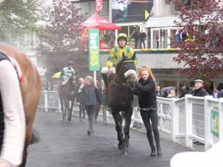 Race 6 z1 Monbeg Charmer.jpg