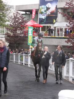 Race 6 z2 Stynes.jpg