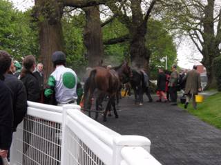 Race 6 z5 Stynes.jpg