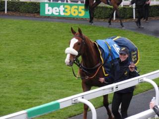 a Race 7 Wolf of Windlesham.jpg