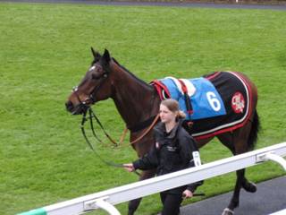b Race 7 Dashing Oscar.jpg