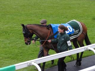 c Race 7 Mystic Sky.jpg