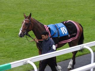 e Race 7 Lough Derg Spirit.jpg