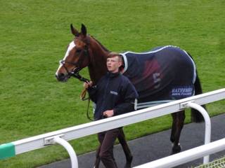 f Race 7 Enniscoffey Oscar.jpg