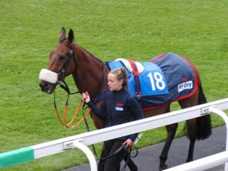 h Race 7 Ordo Ab Chao.jpg