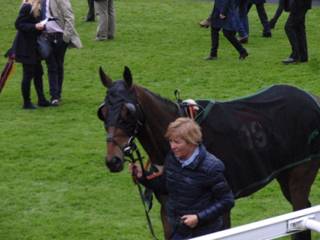 j Race 7 Destiny's Gold.jpg