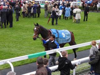 l Race 7 Soul Emotion.jpg