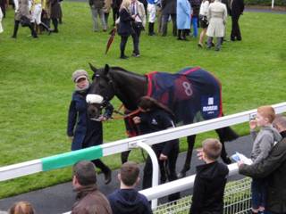 n Race 7 Zubayr.jpg