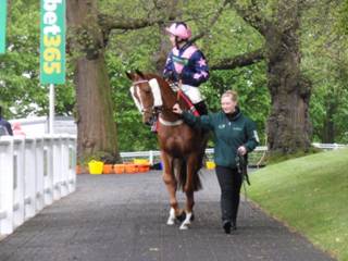 o Race 7 Le Breuil.jpg
