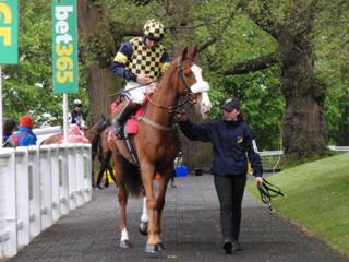 p1 race 7 Wolf Of Windlesham.jpg