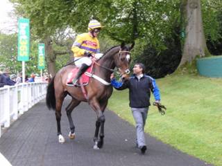 q Race 7 Soul Emotion.jpg