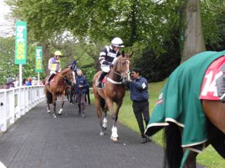 s Race 7 Lough Derg Spirit.jpg