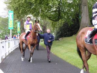 t1 race 7 Enniscoffey Oscar.jpg