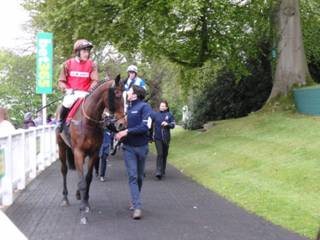 t2 Race 7 Ballotin.jpg