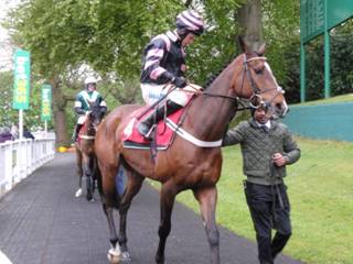 u Race 7 Stowaway Magic.jpg