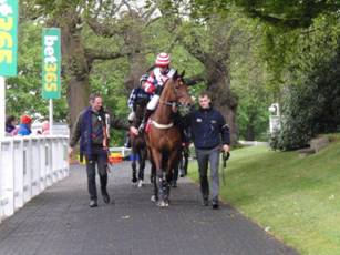 v Race 7 Wilde Blue Yonder.jpg