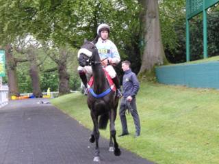 y Race 7 Jester Jet.jpg