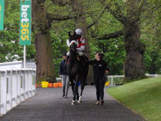 z2 Race 7 Skipthecuddles 1.jpg
