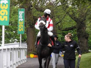 z2 Race 7 Skipthecuddles 3.jpg