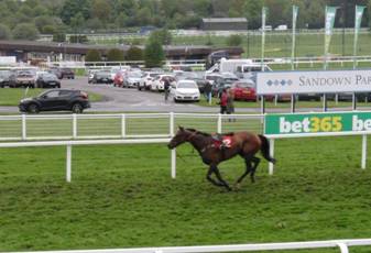 z6 Race 7 Wilde Blue Yonder.jpg