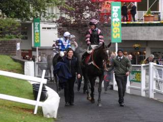 z7 Race 7 Stowaway Magic.jpg
