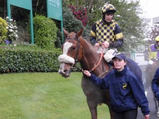 z11 Race 7 Wolf of Windlesham.jpg