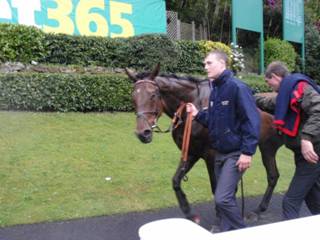 z13 Race 7 Wilde Blue Yonder.jpg