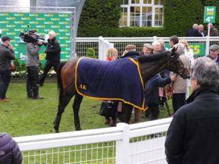 z15 Race 7 Fidux.jpg