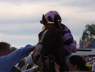 race 6 f.jpg