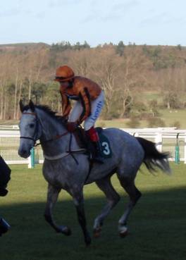 Towcester 18 Jan 09 red1.jpg