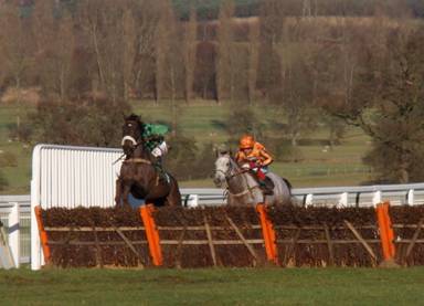 Towcester 18 Jan 09 red2.jpg